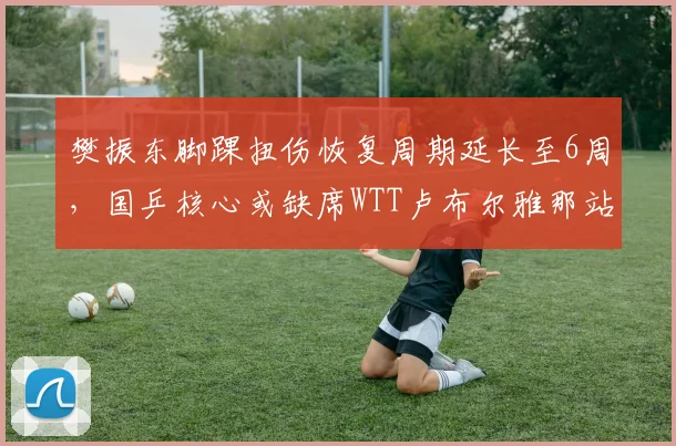 樊振东脚踝扭伤恢复周期延长至6周，国乒核心或缺席WTT卢布尔雅那站